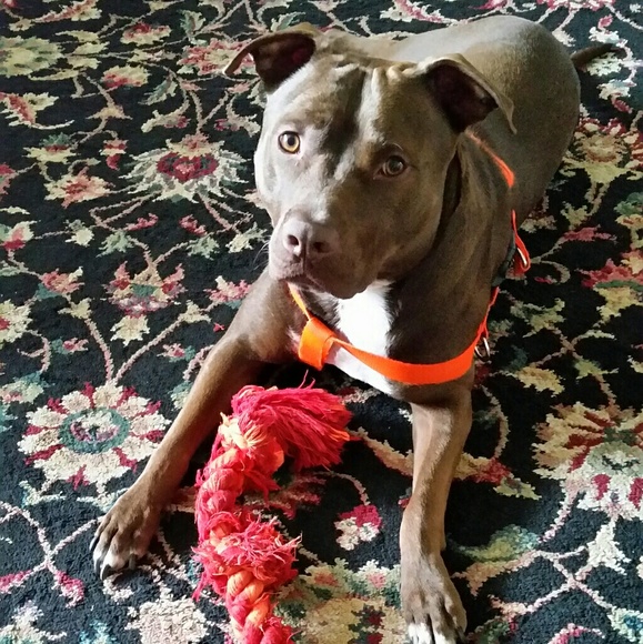 πPLEASE READπ - Picture 6 of 7